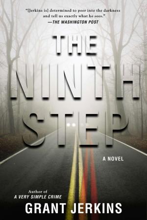 Cover of the book The Ninth Step by Emma Loewe, Lindsay Kellner