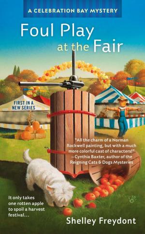 Cover of the book Foul Play at the Fair by Jen Waite