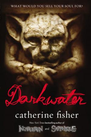Cover of the book Darkwater by Franklin W. Dixon