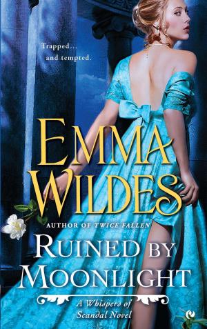 Cover of the book Ruined By Moonlight by Alice D. Domar, Alice Lesch Kelly