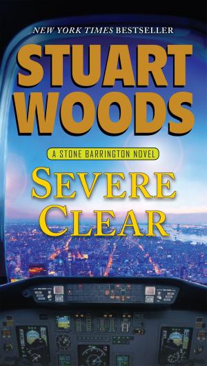 Cover of the book Severe Clear by Elyssa Friedland