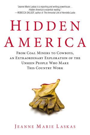 Book cover of Hidden America