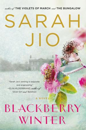 Cover of the book Blackberry Winter by Gillian St Kevern