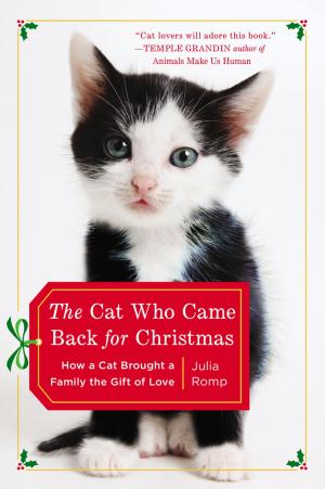 Cover of the book The Cat Who Came Back for Christmas by Margot Morrell, Stephanie Capparell, Alexandra Shackleton