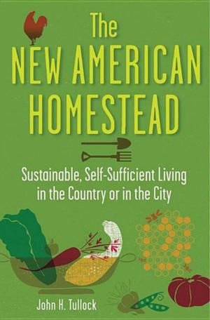 Cover of the book The New American Homestead by Charlie Buckholtz