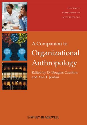 Cover of the book A Companion to Organizational Anthropology by Sarah Parsons Zackheim, Adrian Zackheim