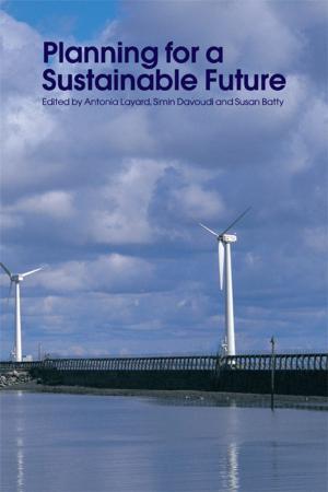Cover of the book Planning for a Sustainable Future by Riaz Hassan