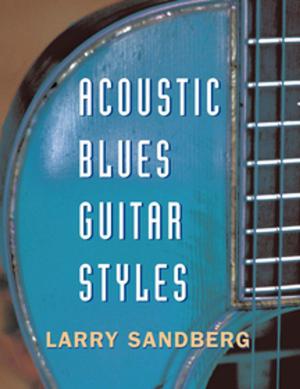 Cover of the book Acoustic Blues Guitar Styles by Steve Lambley
