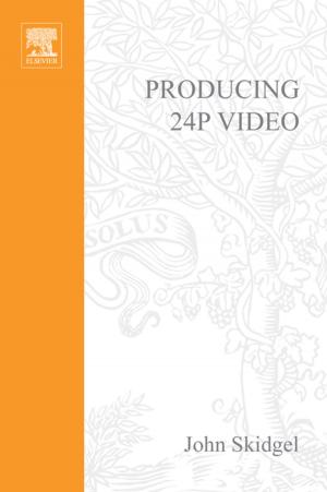 Cover of the book Producing 24p Video by Matsuda Koichiro