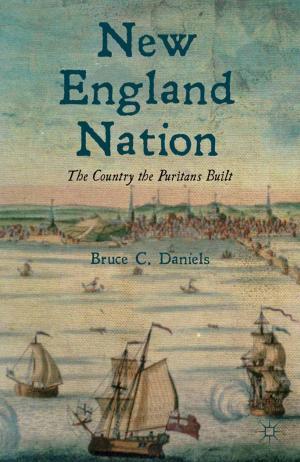 Cover of the book New England Nation by Hatem N. Akil