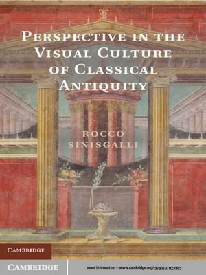 Book cover of Perspective in the Visual Culture of Classical Antiquity