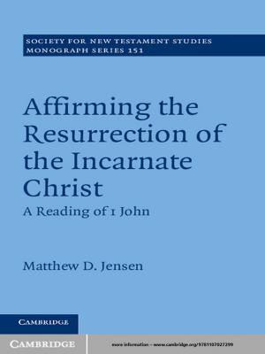 Cover of the book Affirming the Resurrection of the Incarnate Christ by 