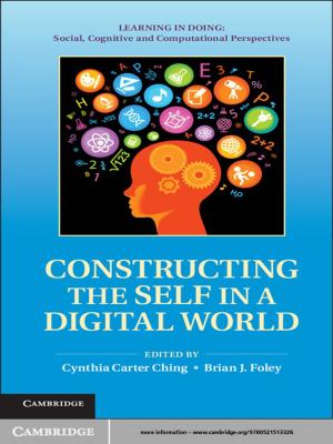 Cover of the book Constructing the Self in a Digital World by Maciej J. Capiński, Ekkehard Kopp
