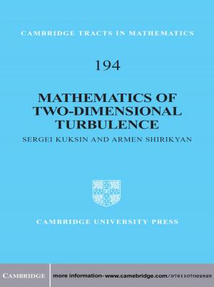 Cover of the book Mathematics of Two-Dimensional Turbulence by John W. Berry, Ype H. Poortinga, Seger M. Breugelmans, Athanasios Chasiotis, David L. Sam