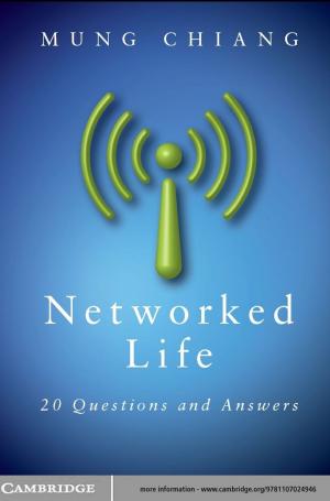 Cover of the book Networked Life by Arjen Boin, Paul ‘t Hart, Eric Stern, Bengt Sundelius