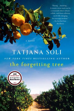 Cover of the book The Forgetting Tree by Stephen Santogrossi