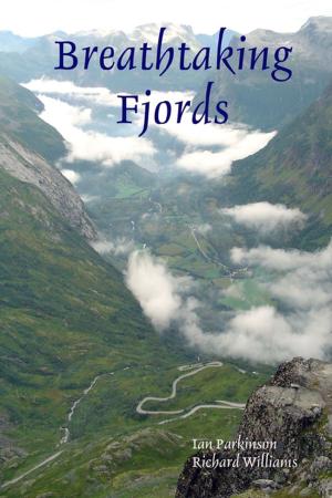 Cover of the book Breathtaking Fjords by Tony Kelbrat