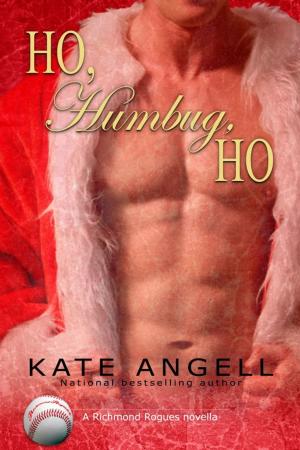 Book cover of Ho, Humbug, Ho