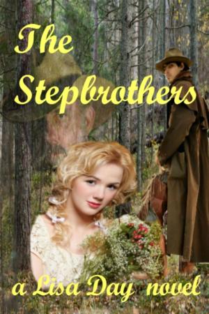 Cover of the book The Stepbrothers by Lovelyn Bettison