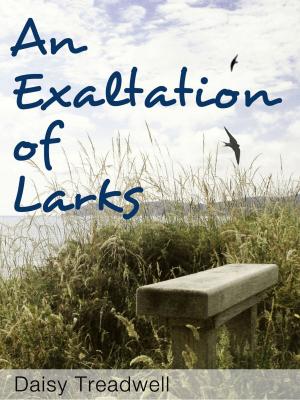 Cover of the book An Exaltation of Larks by Dixon James