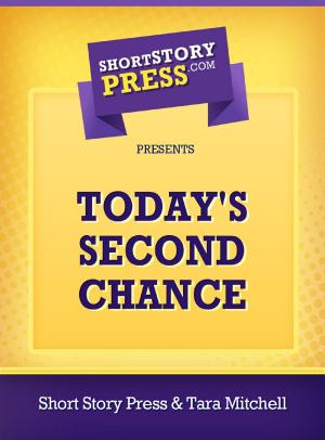 Cover of the book Today's Second Chance by Shannon Barber