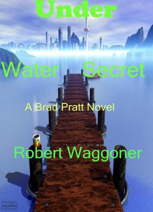 Cover of the book Under Water Secret by Warren Bishop