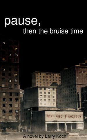 Cover of the book Pause, then the bruise time by Helen Haught Fanick