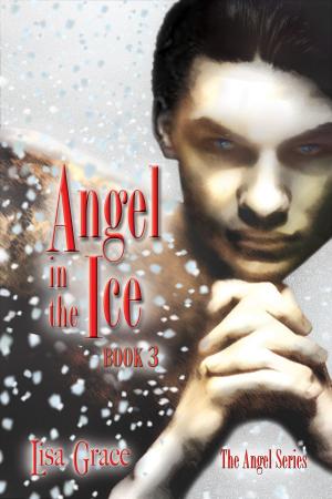 Cover of Angel in the Ice, Book 3 by Lisa Grace (Angel Series)
