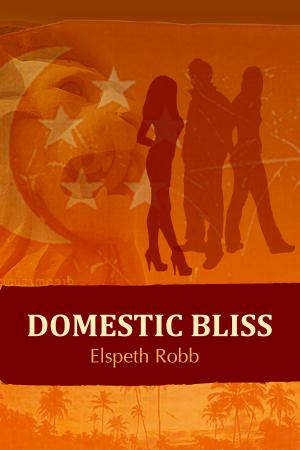 Cover of the book Domestic Bliss by Tashmyra Crowe