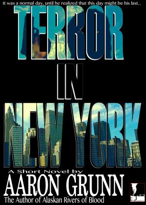 Cover of Terror in New York