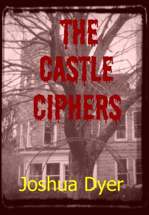 Cover of the book The Castle Ciphers by CW Thomas
