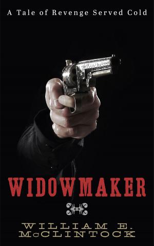 bigCover of the book Widowmaker by 