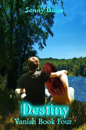 Cover of the book Destiny (Vanish Book Four) by Michael Buettner