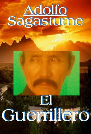 Cover of the book El Guerrillero by Sonia Caporali