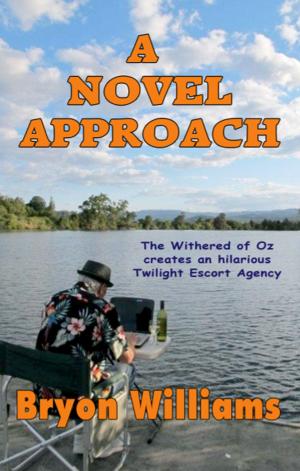 Cover of the book A Novel Approach by Sylvie BRISSET
