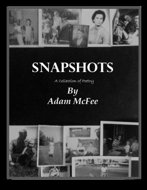 Cover of the book Snapshots-A Collection of Poetry by Holly Mandelkern