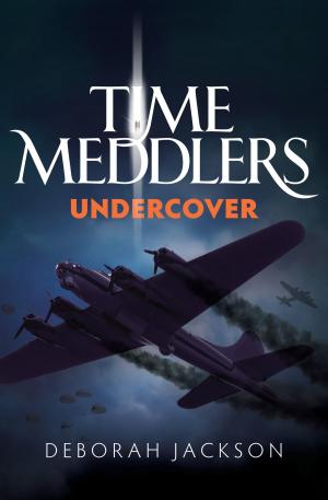 Book cover of Time Meddlers Undercover
