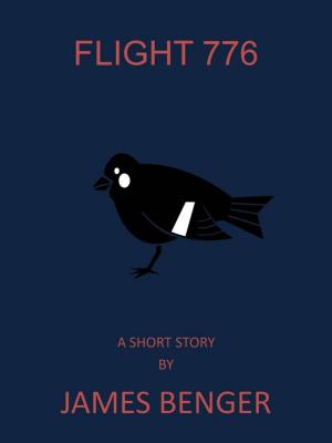 Cover of the book Flight 776 by Gina M. Kaminski