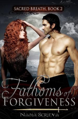 Cover of the book Fathoms of Forgiveness by Jeremiah D. Schmidt