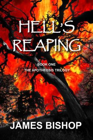Cover of the book Hell's Reaping (Book One of The Apotheosis Trilogy) by Kieran Brannan