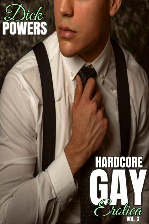 Cover of the book Hardcore Gay Erotica Vol. 3 by Dick Powers