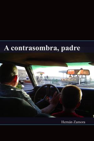 Cover of the book A contrasombra, padre by Colin Williams