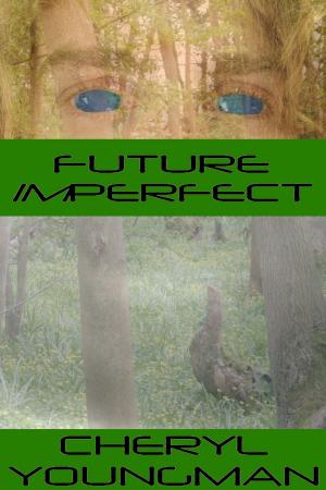Cover of the book Future Imperfect by Derek Haines