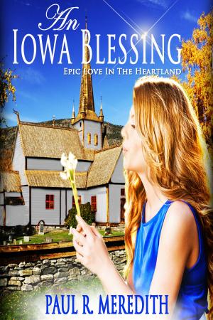 Book cover of An Iowa Blessing