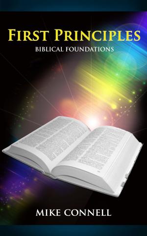 bigCover of the book First Principles (Biblical Foundations) by 