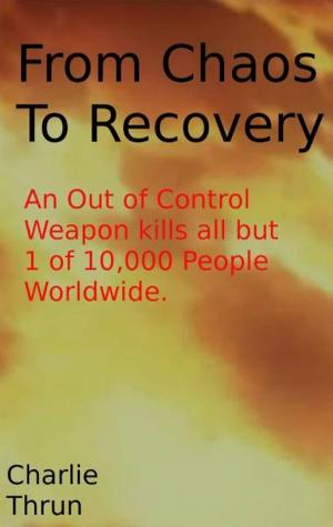bigCover of the book From Chaos to Recovery by 