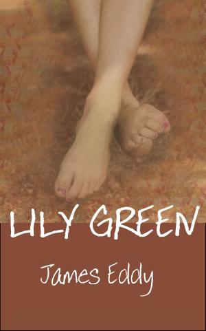 Cover of the book Lily Green by Silvana Sanna