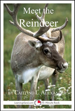 Cover of the book Meet the Reindeer: A 15-Minute Book for Early Readers by Calista Plummer