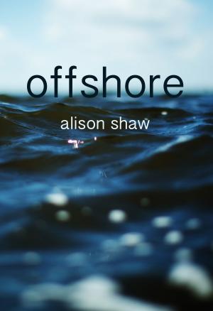 Cover of the book Offshore by Sam King