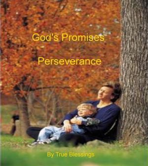Cover of the book God Promises: Perseverance by Theo Kay